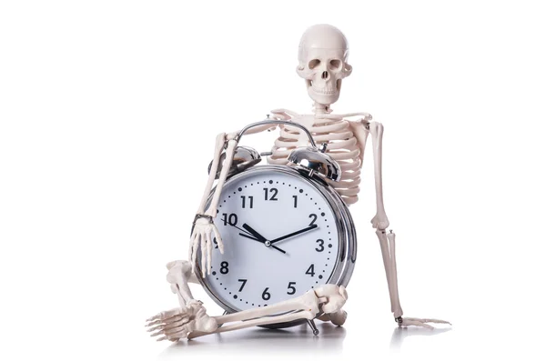 Skeleton with alarm clock on the white — Stock Photo, Image