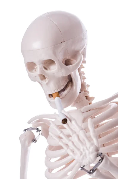 Skeleton smoking cigarette isolated on white — Stock Photo, Image