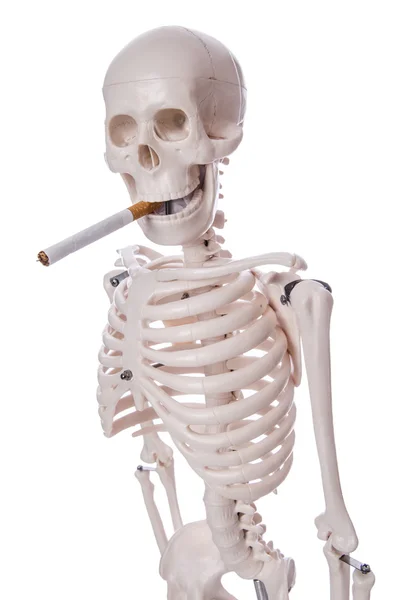 Skeleton smoking cigarette isolated on white — Stock Photo, Image