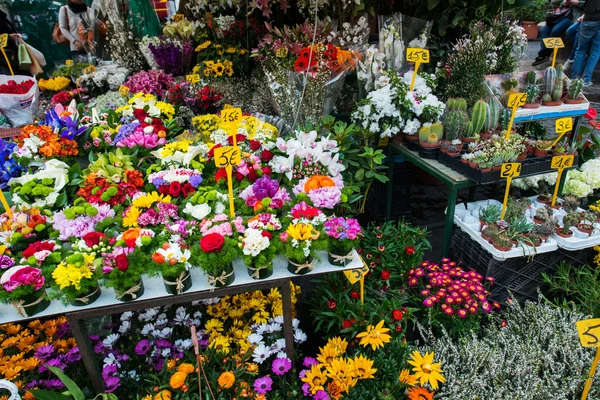 Pouliční květinářství s barevnými květy — Stock fotografie