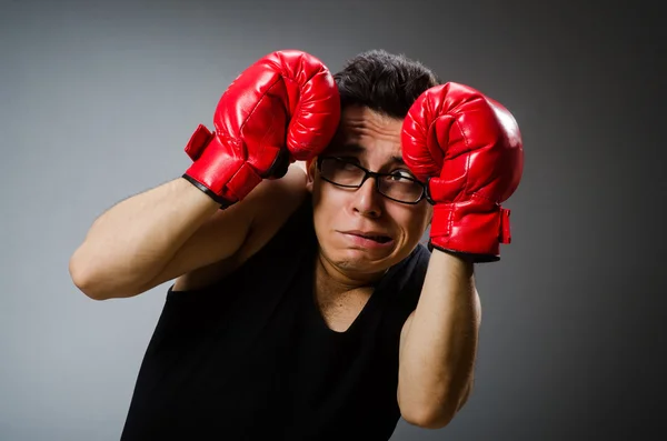 Boxer engraçado com luvas vermelhas contra fundo escuro — Fotografia de Stock