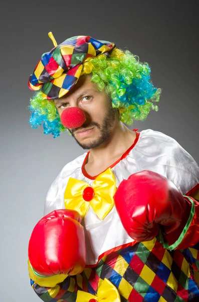 Rolig clown med boxningshandskar — Stockfoto