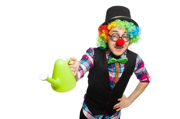 Clown isoliert auf weißem Hintergrund — Stockfoto