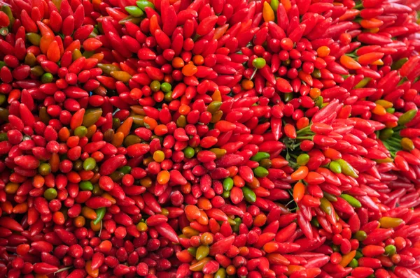 Lots of red peppers arranged at the market — Stock Photo, Image