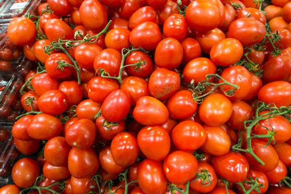 Barraca de mercado com lotes de tomates — Fotografia de Stock