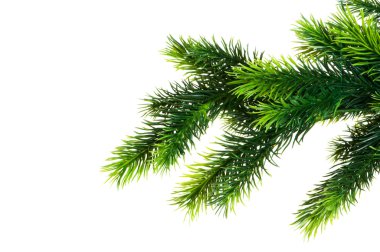 Beyaz arka planda izole edilmiş Noel ağacı