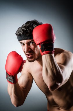 Kaslı boksör kırmızı eldivenli.