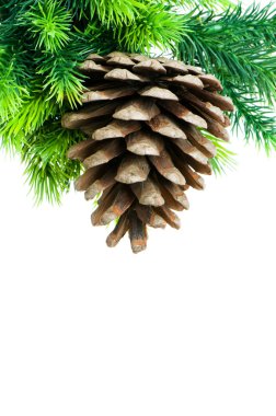 Beyaz arka planda izole edilmiş Noel ağacı