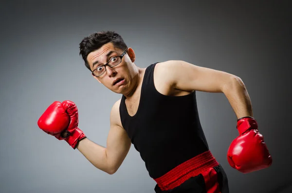 Boxer drôle avec des gants rouges sur fond sombre — Photo