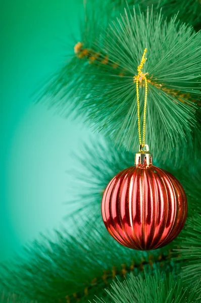 Decoración de Navidad en el abeto — Foto de Stock