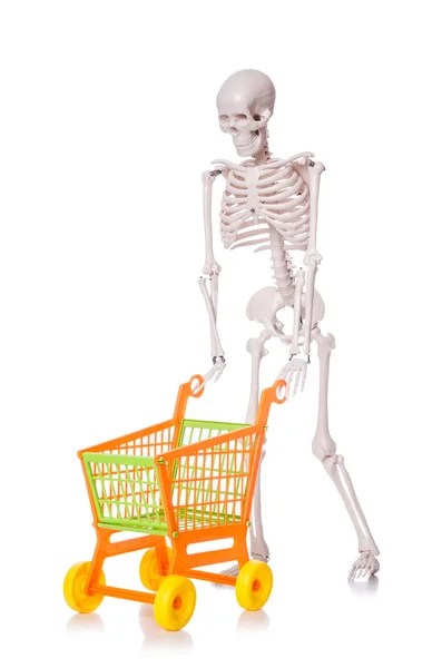 Skeleton with shopping cart trolley isolated on white — Stock Photo, Image