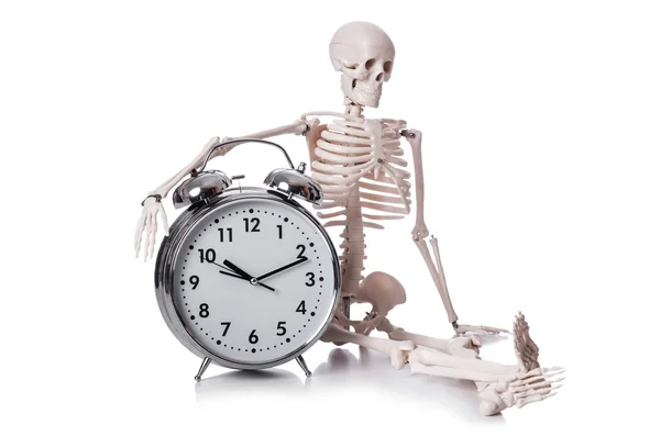 Skeleton with alarm clock on the white — Stock Photo, Image