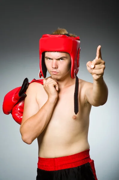 Wütender Boxer vor grauem Hintergrund — Stockfoto