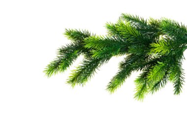 Beyaz arka planda izole edilmiş Noel ağacı