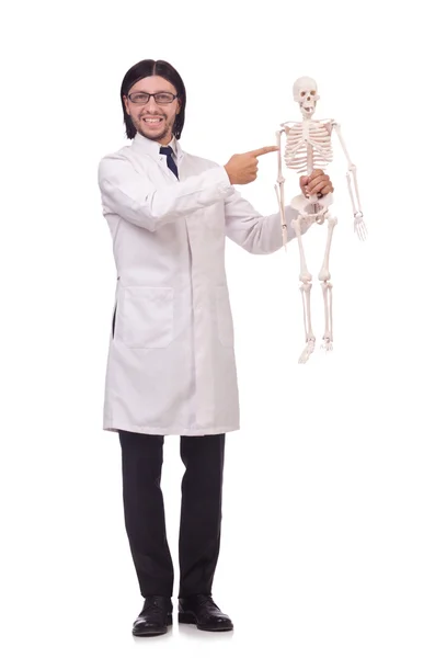 Funny teacher with skeleton isolated on white Royalty Free Stock Images