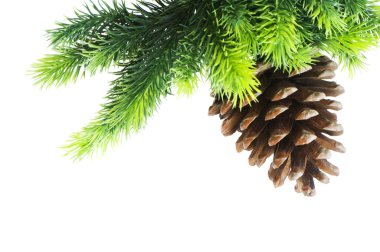 Beyaz arka planda izole edilmiş Noel ağacı
