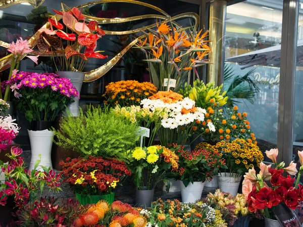 Loja de flores de rua com flores coloridas — Fotografia de Stock
