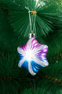 Noel süslemesi köknar ağacında