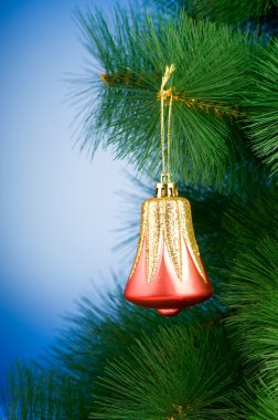 Noel süslemesi köknar ağacında