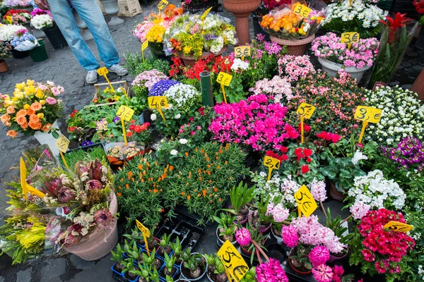 Calle floristería con flores de colores — Foto de Stock