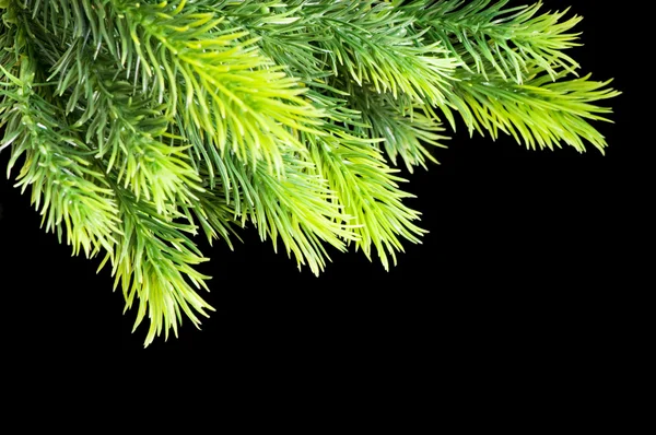 Albero di Natale isolato sullo sfondo nero — Foto Stock