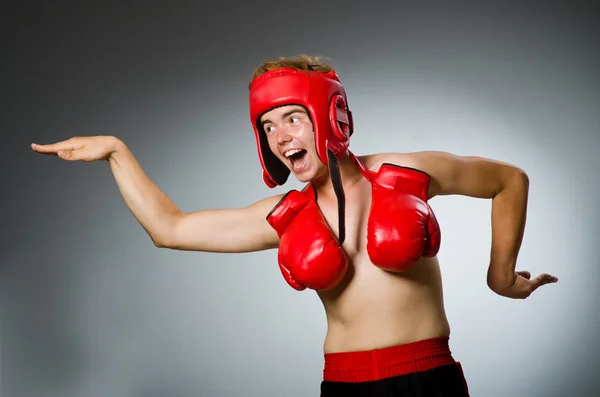 Grappige bokser tegen donkere achtergrond — Stockfoto