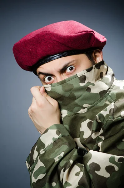 Soldato divertente nel concetto militare — Foto Stock