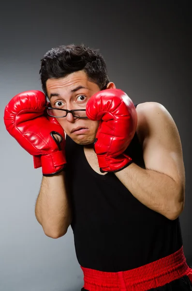 Boxer engraçado com luvas vermelhas contra fundo escuro — Fotografia de Stock