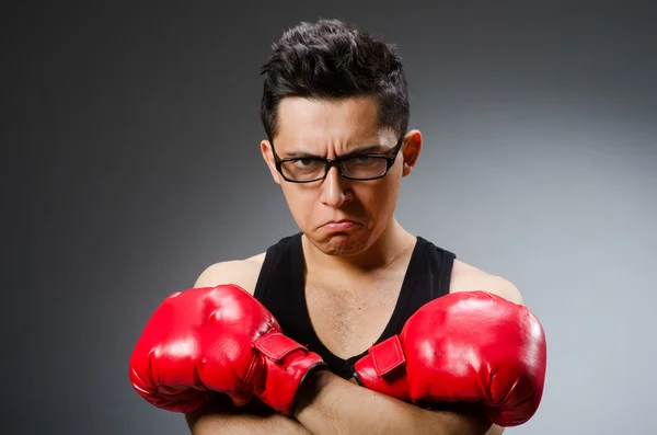 Boxer drôle avec des gants rouges sur fond sombre — Photo