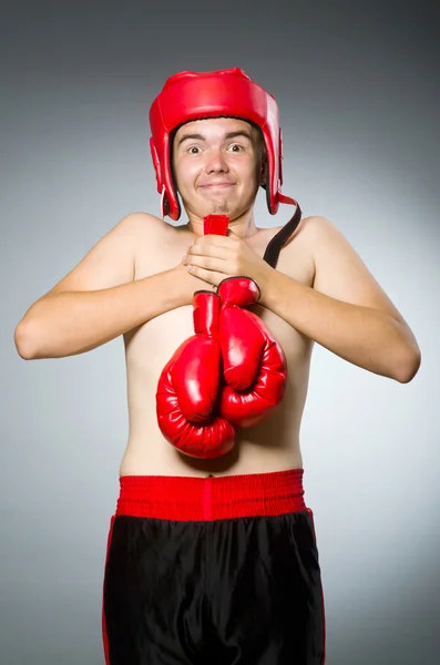 Boxer proti tmavému pozadí — Stock fotografie