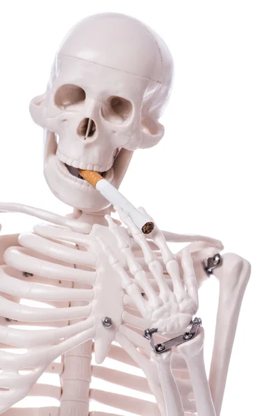 Skeleton smoking cigarette isolated on white — Stock Photo, Image