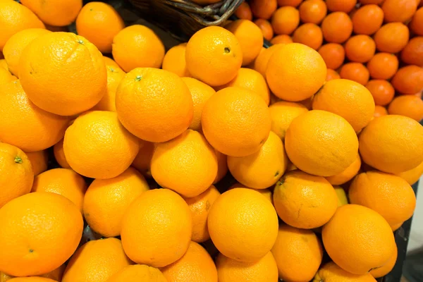 Citrusové plody na stánku supermarketu — Stock fotografie