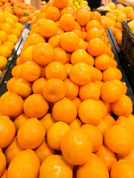 Cítricos en el puesto del supermercado — Foto de Stock