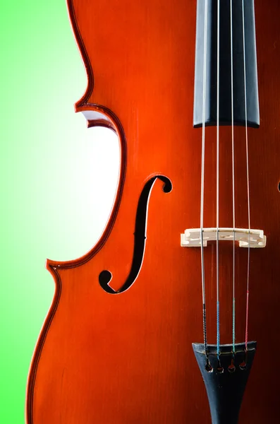 Скрипка ізольована на білому тлі — стокове фото