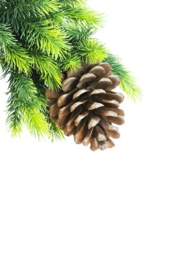 Beyaz arka planda izole edilmiş Noel ağacı
