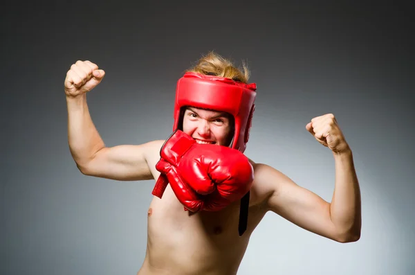 Funny boxer proti tmavému pozadí — Stock fotografie