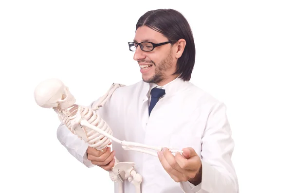Смешной учитель со скелетом, изолированным на белом — стоковое фото