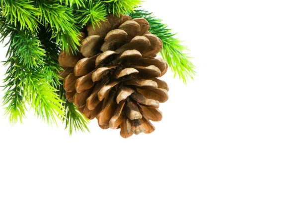 Árvore de Natal com pinecone — Fotografia de Stock