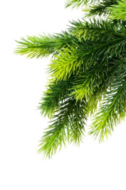 Noel ağacı Noel kavramı