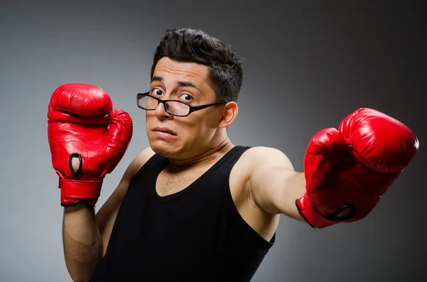 Zabawny bokser z czerwone rękawice — Zdjęcie stockowe