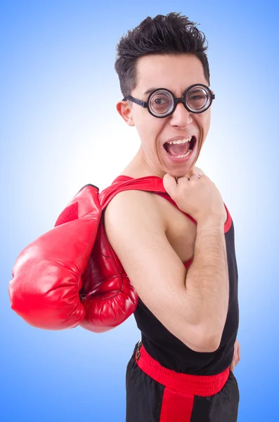 Grappige bokser in rode handschoenen — Stockfoto