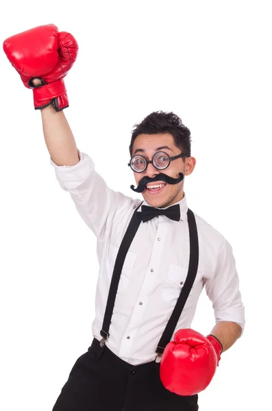 Zabawny bokser z czerwonym glovers — Zdjęcie stockowe