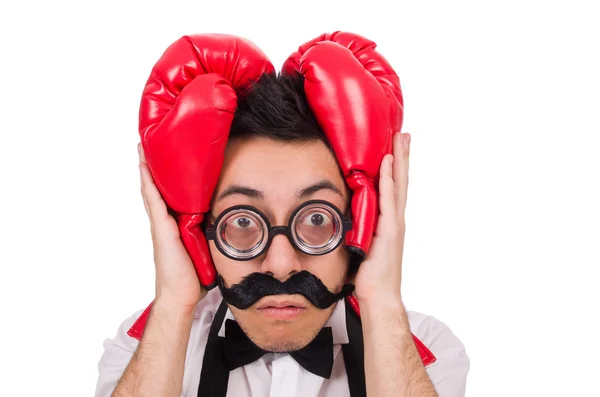 Lustiger Boxer mit roten Handschuhen — Stockfoto