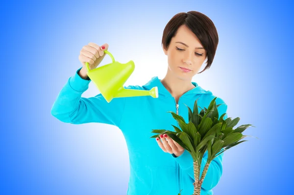 Mujer joven regando plantas — Foto de Stock