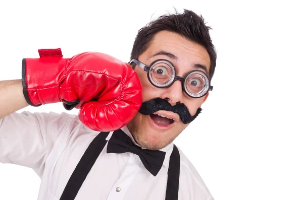 Boxer drôle avec gants rouges — Photo