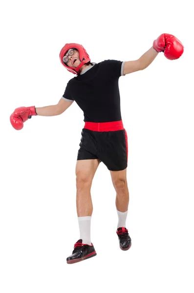 Funny boxer isolated on the white — Stock Photo, Image