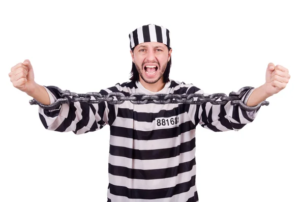 Prison inmate isolated on the white background — Stock Photo, Image