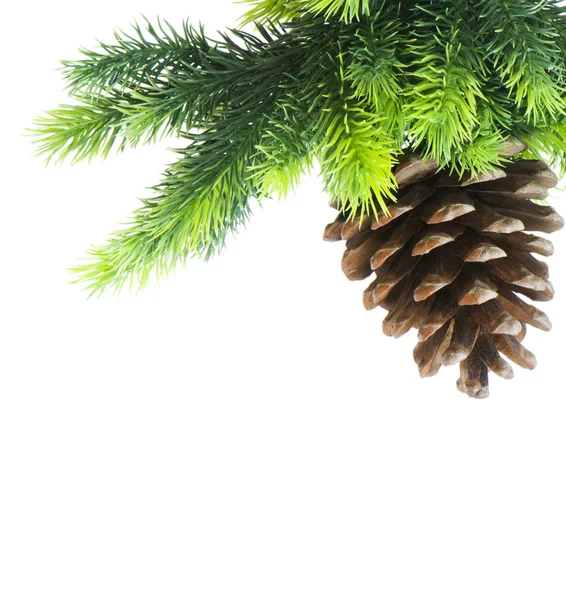 Kerstboom — Stockfoto