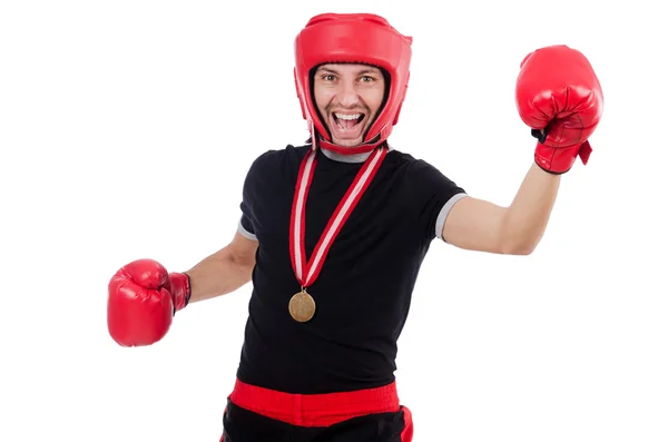 Lustige Boxer isoliert auf dem weißen — Stockfoto