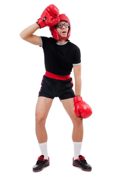 Funny boxer isolated on the white — Stock Photo, Image